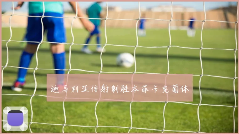 迪马利亚传射制胜本菲卡克葡体