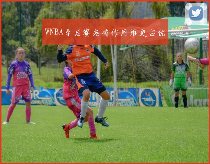 WNBA季后赛老将作用谁更占优