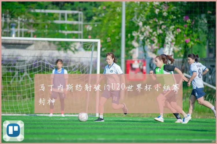 马丁内斯怒射破门U20世界杯小组赛封神