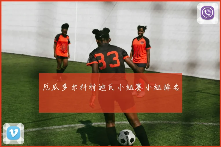 厄瓜多尔科特迪瓦小组赛小组排名