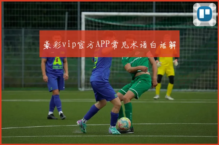 豪彩vip官方APP常见术语白话解