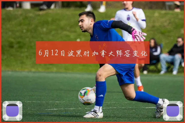 6月12日波黑对加拿大阵容变化