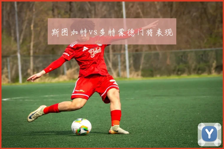 斯图加特vs多特蒙德门将表现