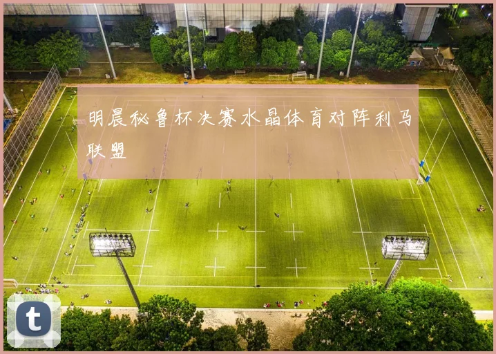 明晨秘鲁杯决赛水晶体育对阵利马联盟